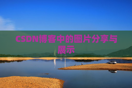 CSDN博客中的图片分享与展示